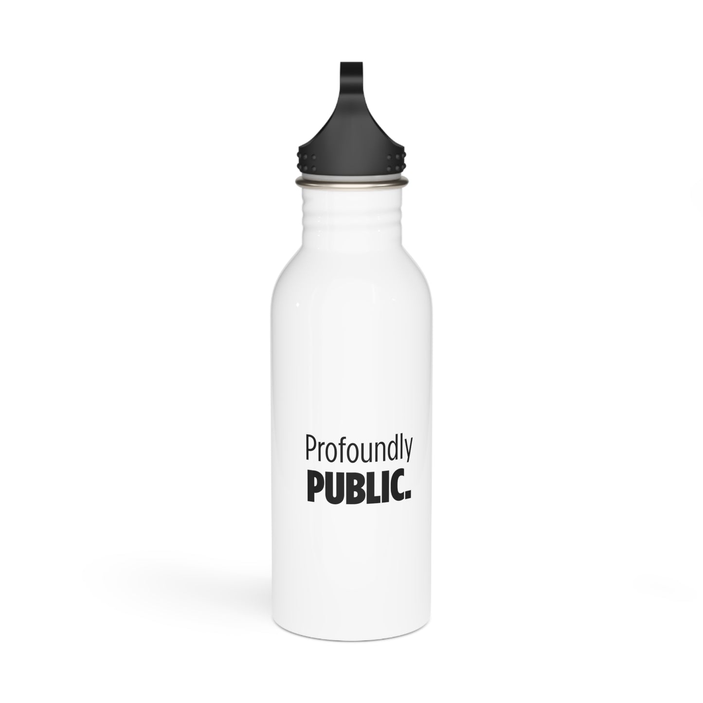 Stainless Steel Water Bottle